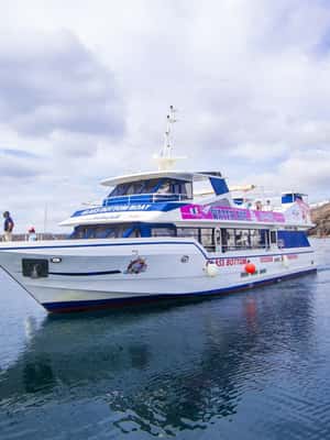 Bild Nr. 2 von Lanzarote: Puerto del Carmen & Puerto Calero Bootstransfer Aktivität in Puerto Calero, hochgeladen vom Anbieter