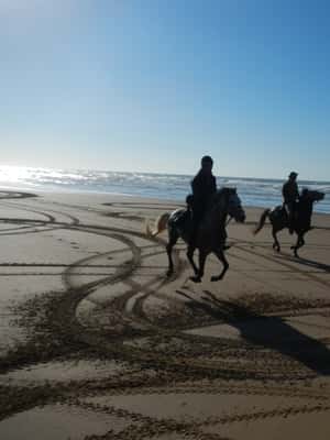 image n.2 of From Essaouira: 2h Horseback Ride with Sunset activity in Essaouira, uploaded by supplier