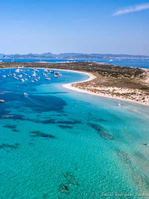 Image N°2 de Ibiza : Crystal Waters Formentera, Open Bar et déjeuner buffet activité à Îles Baléares, publiée par le prestataire