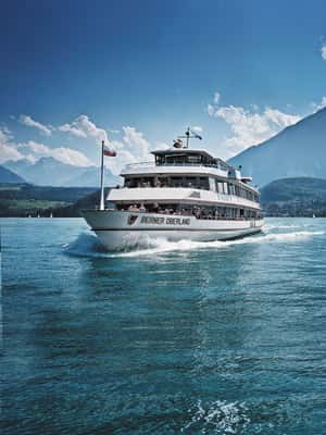 imagen n.º 2 de Suiza: Pase Regional del Oberland Bernés en 2ª Clase actividad en Interlaken, subida por el proveedor