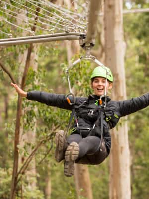 image n.2 of Lorne: Live Wire Park Ticket with Zip Line Rollercoaster activity in Lorne, uploaded by supplier