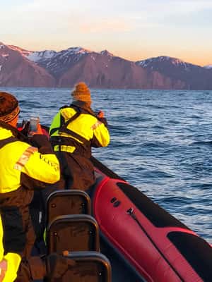 afbeelding n.2 van Húsavík: Grote walvissen en papegaaiduiker eiland speedboottocht activiteit in Norðurland eystra (noordoost-regio), geüpload door aanbieder