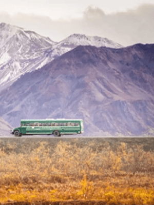 image n.2 of Anchorage: Kenai Fjords & Denali National Park 5 Day Tour activity in Anchorage, uploaded by supplier