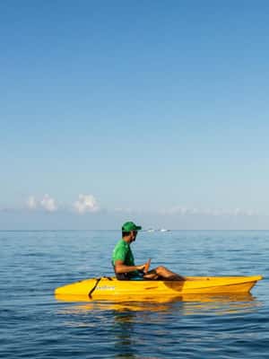 image n.2 of Tamarin: Guided Kayak Tour with Dolphins activity in Tamarin, uploaded by supplier