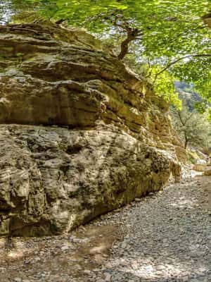 image n.2 of From Rethymno: Imbros Gorge & Libyan Guided Sea Tour activity in Crete, uploaded by supplier