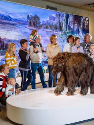 image n.2 of Mettmann: Neanderthal Museum Admission Ticket activity in Mettmann, uploaded by supplier