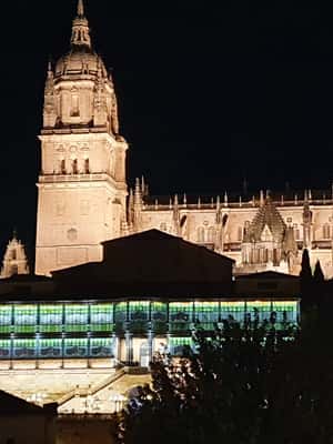 Pramogos teikėjo įkelta pramogos „Salamanka: Legendos ir istorijos Privati naktinė ekskursija pėsčiomis“, Salamanka, nuotrauka (2)