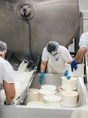 image n.2 of From Bologna: Parma Cheese & Ham Factory Tours and Tastings activity in Bologna, uploaded by supplier