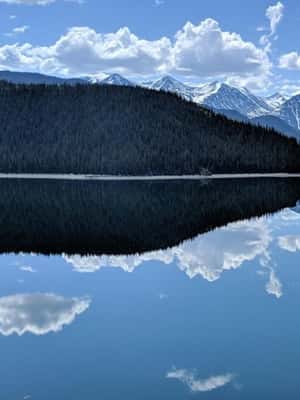 image n.2 of Skagway: Yukon, White Pass, & Husky Sled Camp Combo Tour activity in Skagway, uploaded by supplier