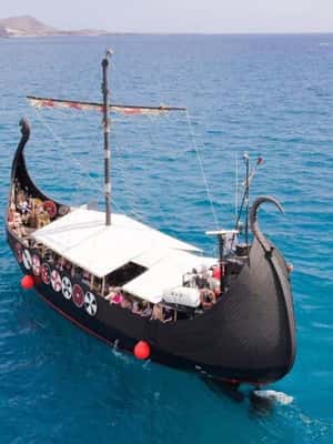 Bild Nr. 2 von Los Cristianos: Wal- und Delfinbeobachtung auf einer Viking-Kreuzfahrt Aktivität in Adeje, hochgeladen vom Anbieter