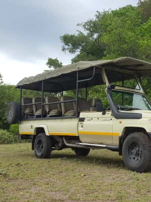 image n.2 of Safari : Big 5 - Hwange National Park Safari Day Tour activity in Victoria Falls Town, uploaded by supplier