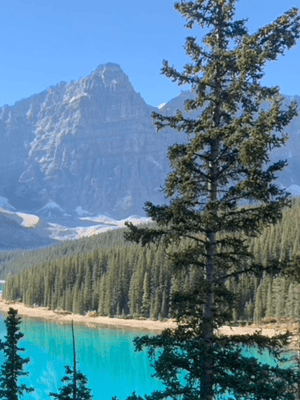 From Banff/Canmore: Moraine Lake & Lake Louise Experience