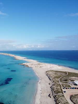 Image N°2 de Ibiza : Transfert aller-retour de Figueretas à Formentera activité à Ibiza (ville), publiée par le prestataire