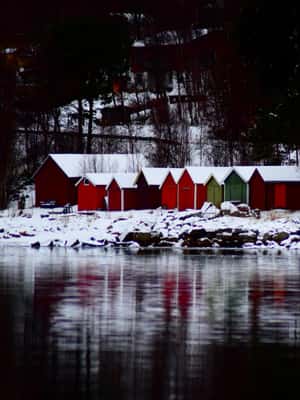 image n.2 of Abisko: Fjord Sightseeing and Photography Tour activity in Abisko, uploaded by supplier