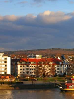 본에서 Bonn: 프라이빗 크리스마스 마켓 투어 액티비티의 2번 이미지, 공급업체 업로드