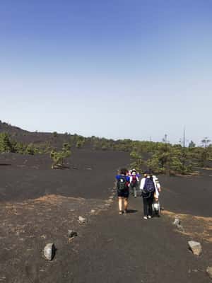 Bild Nr. 2 von La Palma: Geführte Tour zum Vulkan Tajogaite mit Transfer Aktivität in El Paso, Spanien, hochgeladen vom Anbieter