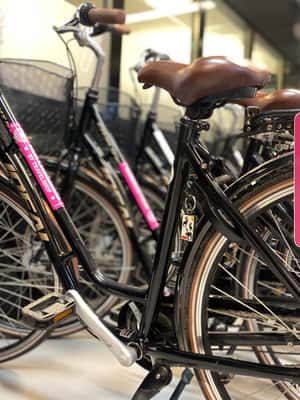 bild nr.2 av Malmö: Cykeluthyrning i staden aktivitet i Malmö, uppladdad av arrangören