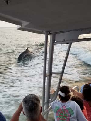 image n.2 of Destin: Snorkeling Cruise with 2 Stops and Dolphin Watching activity in Destin, uploaded by supplier