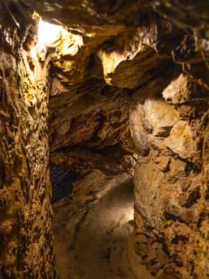 Palma de Mallorca içindeki Palma: Genova Mağaraları Bilet ve Dijital Sesli Rehber etkinliğinin tedarikçi tarafından yüklenen 2 no'lu görseli