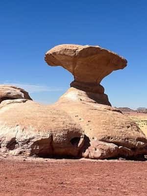 bild nr.2 av Från Amman: Petra, Wadi Rum och Döda havet Privat 2-dagarsutflykt aktivitet i Amman (region), uppladdad av arrangören