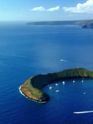 image n.2 of South Maui: Snorkel to Coral Gardens or Molokini Crater activity in Maalaea, uploaded by supplier