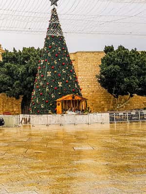 Image N°2 de Visite de Jérusalem et Bethléem au départ du port d'Ashdod. Circuit privé activité à Jérusalem, publiée par le prestataire