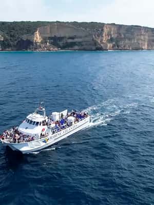 imagen n.º 2 de Barbate: Observación de delfines y ballenas en el Cabo de Trafalgar actividad en Cádiz, subida por el proveedor