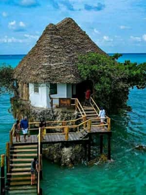 image n.2 of Kiwengwa/Zanzibar: Mnemba, Kuza Cave & Jozani Forest Tour activity in Jambiani, uploaded by supplier