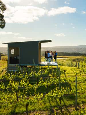 imagen n.º 2 de Barossa: Excursión en grupo reducido, almuerzo y cata de vinos Premium actividad en Australia Meridional, subida por el proveedor