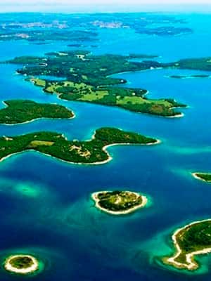 image n.2 of Pula: National Park Brijuni Island Visit & Dolphin Cruise activity in Pula, uploaded by supplier