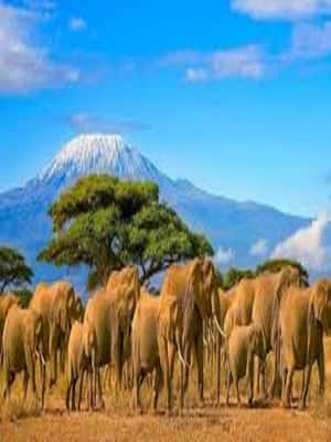 image n.2 of Perfect 2-Day Tanzania Safari: Tarangire & Ngorongoro Tour activity in Arusha (Region), uploaded by supplier