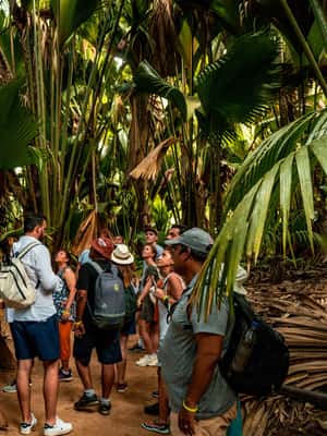 image n.2 of Seychelles: Praslin Island and La Digue Island Day Tour activity in Grand Anse, uploaded by supplier