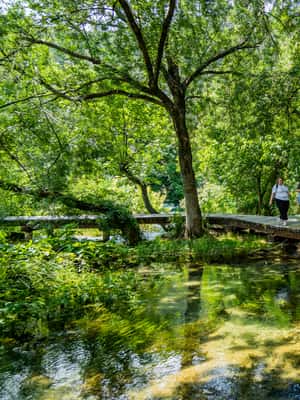 afbeelding n.2 van Split: Dagtrip Nationaal Park Krka met boottocht & zwemmen activiteit in Dalmatië, geüpload door aanbieder