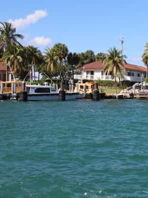 image n.2 of Miami Biscayne Bay: Hop-on Hop-off Boat Cruise activity in Miami, uploaded by supplier