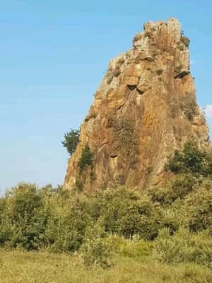 image n.2 of DAY TOUR- LAKE NAIVASHA AND HELL'S GATE PARK-WITH PARK FEES activity in Nakuru, uploaded by supplier