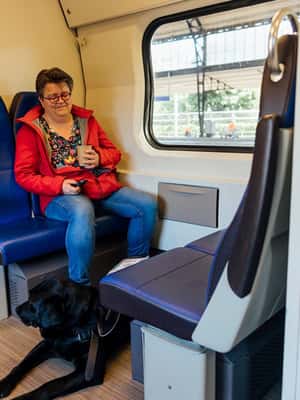 image n.2 of Amsterdam: Train Transfer Schiphol Airport from/to Den Haag activity in Amsterdam, uploaded by supplier