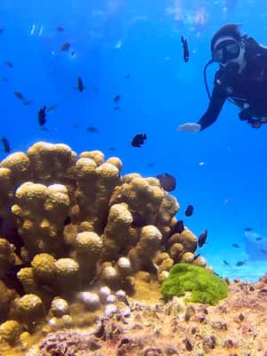 image n.2 of From Phuket: 3-Day SSI/PADI Open Water Diver Certification activity in Gulf of Thailand, uploaded by supplier