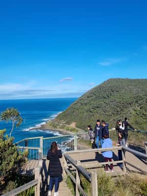 imagem n.2 de Tour particular e de luxo pela Great Ocean Road e pelos 12 Apóstolos atividade em Lorne, carregada pelo fornecedor