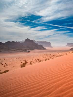 bild nr.2 av Från Amman: Petra, Wadi Rum och Döda havet Privat 3-dagars tur aktivitet i Amman (region), uppladdad av arrangören