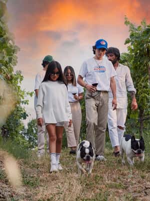 Obraz nr 2 z atrakcji Desenzano: Degustacja wina i zwiedzanie winnicy Lugana w Lombardia, przesłany przez organizatora