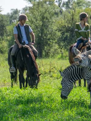 image n.2 of From Windhoek: Private 10-Day Great Escape Namibia Safari activity in Erongo, uploaded by supplier