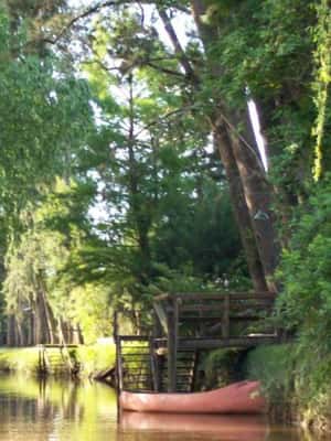 imagen n.º 2 de Buenos Aires: Ticket de entrada - Clásico tour en barco por el Delta del Tigre actividad en Tigre, Argentina, subida por el proveedor