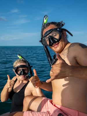 imagen n.º 2 de Delfines y snorkel en Cayo Hueso actividad en Estados Unidos, subida por el proveedor