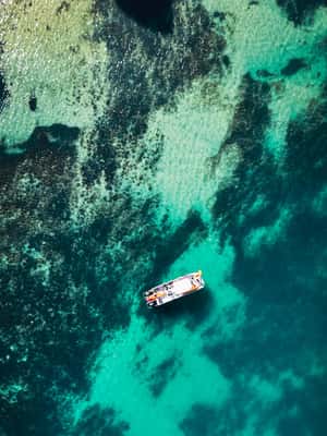 imagen n.º 2 de Desde Lagos: Excursión en kayak desde catamarán por las cuevas de Ponta da Piedade actividad en Lagos, Portugal, subida por el proveedor