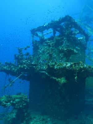 image n.2 of Koh Chang: 1-Day Dive Trip to Top Underwater Sites activity in Trat Province, uploaded by supplier