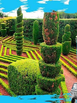 image n.2 of Madeira: Botanical Gardens + Old Town Tuk-Tuk Tour by MadTuk activity in Funchal, uploaded by supplier