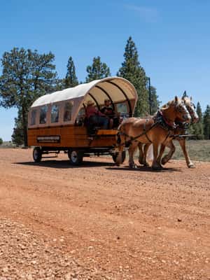 image n.2 of Bryce Canyon City: Wagon Ride to the Rim of Bryce Canyon activity in Utah, uploaded by supplier