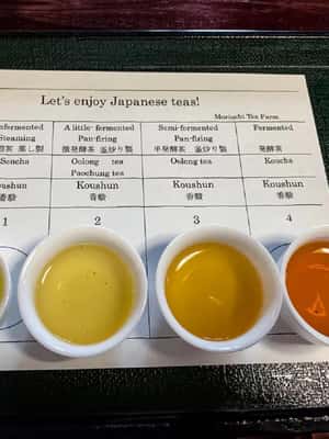 imagen n.º 2 de Shizuoka: tour del té japonés con degustación y preparación de té actividad en Shizuoka, subida por el proveedor