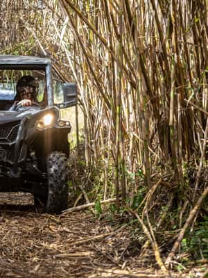 From Porto: Off-Road Buggy Adventure