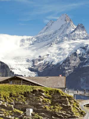 imagem n.2 de Passeio de Gôndola de Grindelwald ao Monte First atividade em Grindelwald, carregada pelo fornecedor